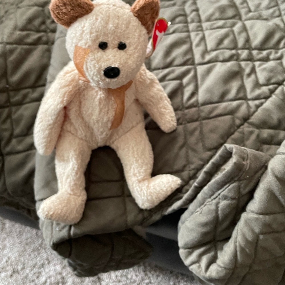 Tan bear beaniè baby